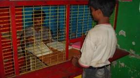 Indiens Straßenkinder lernen das Sparen