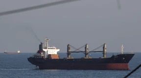 Zwei Getreideschiffe erreichen ukrainischen Hafen