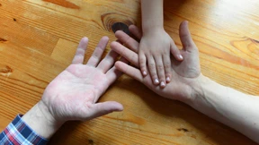 Lieber Leib und Leben schützen als Hab und Gut