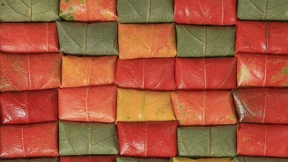 Ein geglücktes kulinarisches Experiment