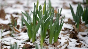 Wer brennt, friert doch