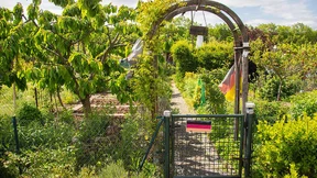 Kleingärten werden immer beliebter