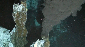 Entdeckung vor der Antarktis