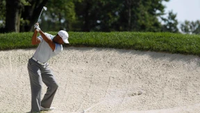 Der Tiger befreit sich aus dem Bunker