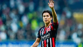 Mit Punch und Power gegen die Wölfe