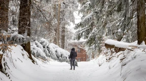 Meteorologen erwarten Frostnacht mit bis zu minus zehn Grad