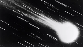 Schweifstern zum Anfassen