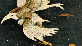 Walter Benjamins gesammelte Kinderbücher