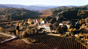 Angelina Jolie verkauft ihre Anteile am Weingut Miraval