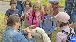 „Tiere spüren negative Energie“
