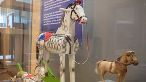 Was Tierspielzeug über Menschen aussagt