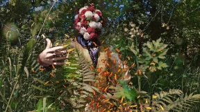 Der Widerhall der Fotografie