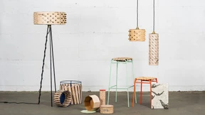 Birke wird zum Blickfang