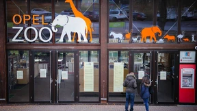 „Normalerweise würden alle Tiere im Stall gekeult“