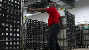 Wie die OSZE Amerikas Präsidentenwahl überwachen will