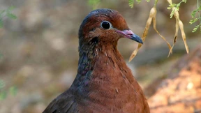 Marthas Schicksal soll sich nicht wiederholen