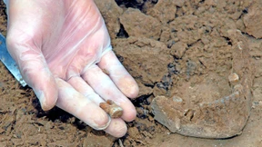 Nach dem einstigen Keltendorf wird weiter gesucht