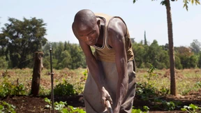 Zocken mit dem täglich Brot Teil 4: Meru, Kenia