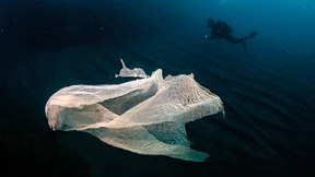 Der Verbots-Wahnsinn