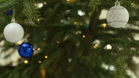 Weiße Weihnachten trotz Klimawandel?