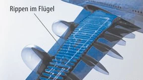 Rippenfüße machen Airbus zu schaffen