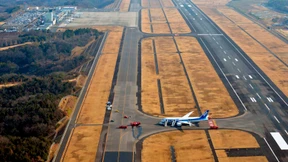 Japan Airlines streicht alle Dreamliner-Flüge
