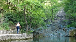 Aus der Tiefe des ländlichen Traums