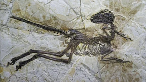 Fünfmal ging die Welt schon unter