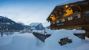 Alle Holzwege führen ans Ziel