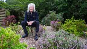 Brian May: „Kampf gegen Dachs-Tötungen so wichtig wie Musik“