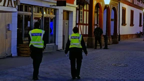 Drei führen einen Hund aus