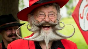 Viel Schnauzer Freistil