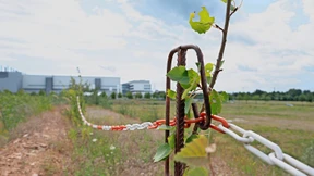 Was Landespolitik bewegen kann