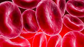 Mit Genen gegen Blutkrebs?