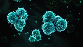 Wie die zelleigene Proteinfabrik ausgebremst werden kann