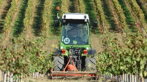 Das müssen Sie über Glyphosat wissen