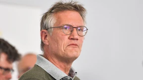 Das schwedische Modell in der Selbstkritik