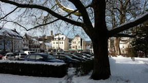 Rodungen für neues Stadtzentrum beginnen