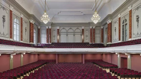 Feuerwerk mit Schlagmetall und Plüsch