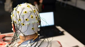 Master der Manipulation in der Krise