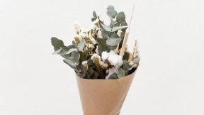 Eukalyptus mit allem