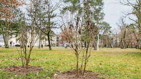 Bürgerbeteiligung nicht erwünscht