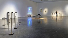 Spargel für das HB-Männchen