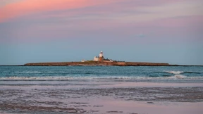 Das Berliner Blau des Eichelhähers