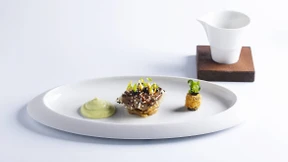 Der panasiatisch alteuropäische Urhesse