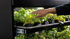 Frische Kräuter statt farbloser Fertiggerichte im Krankenhaus