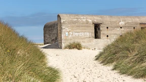 Heller Gesang über Bunkern