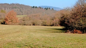 Spuren bis 6000 vor Christus