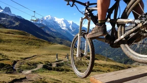 Nicht geteert, gefedert