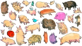 Die Frau hinterließ eine Schweinerei